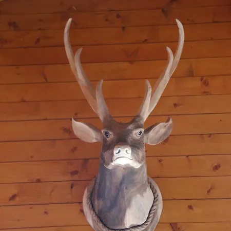 アパート Rodasia