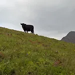 Rodasia Verbier